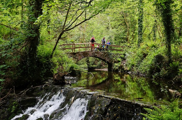 dun na ri forest park