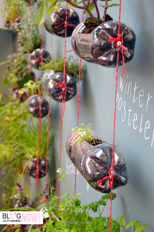 Bottle Planter
