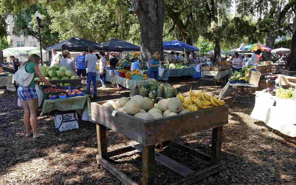 Mykidstime Orlando Restaurants for kids Lake Eola Farmers Market