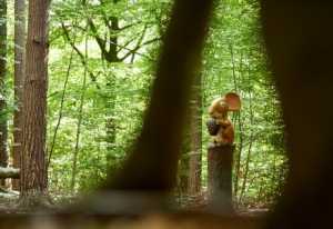 thorndon country park gruffalo trail