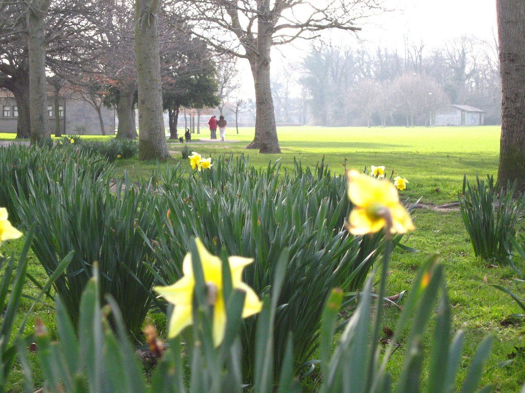 Bushy Park Dublin Autumn Walks for Families in Ireland