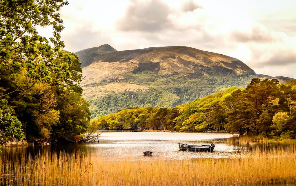 autumn walks for families in Ireland