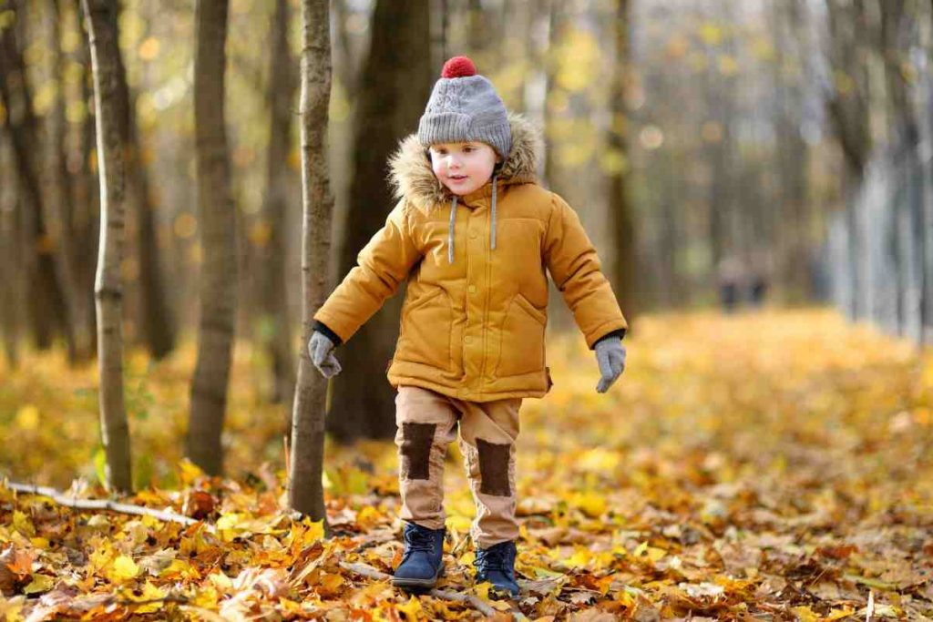 autumn walks in Ireland autumn walks in Ireland