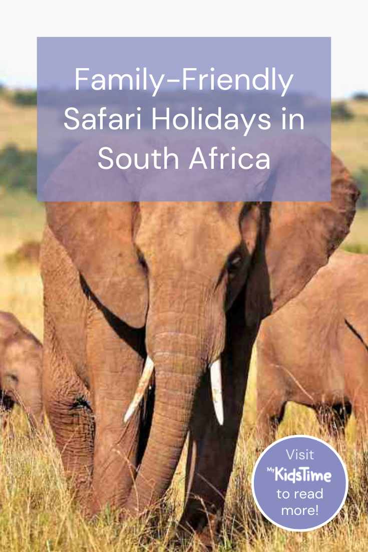 The Best Family-Friendly Safari Holidays in South Africa – Mykidstime (1)