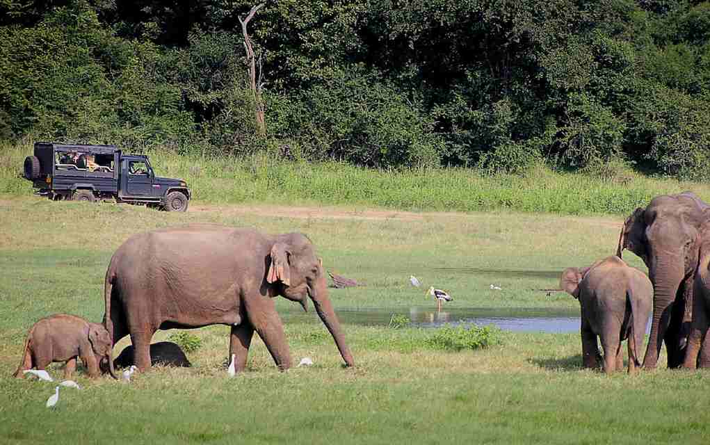 family-friendly-safari-holidays-in-South-Africa