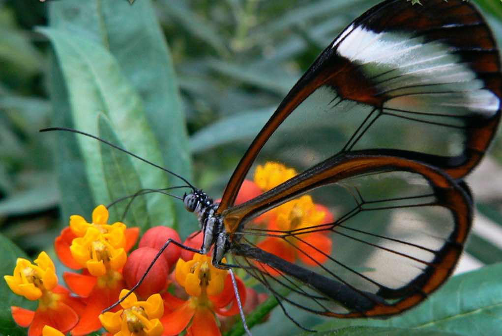 tropical world Letterkenny places to see animals in Ireland