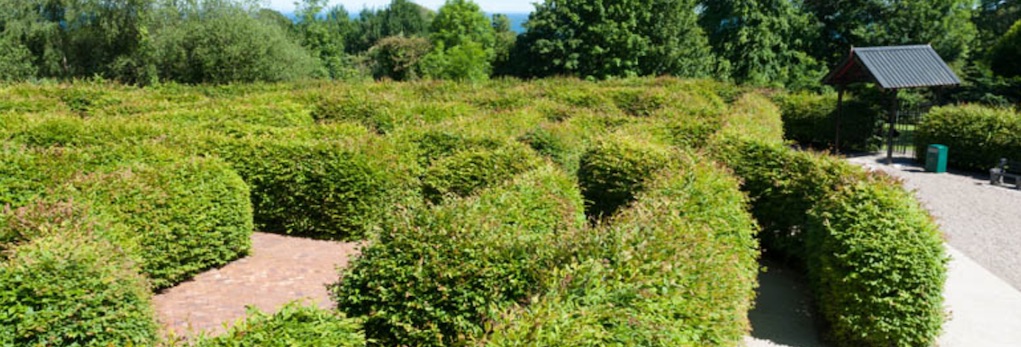 carnfunnock maze Anrtim mazes in Ireland