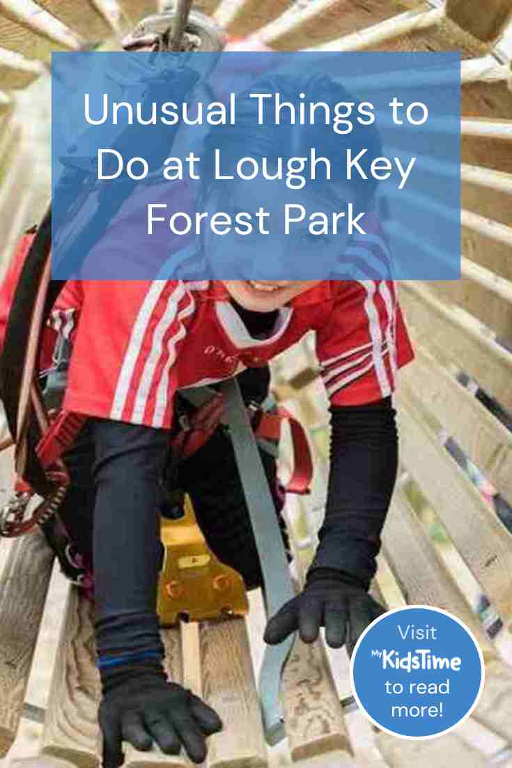 Unusual Activities and Things to Do at Lough Key Forest & Activity Park – Mykidstime