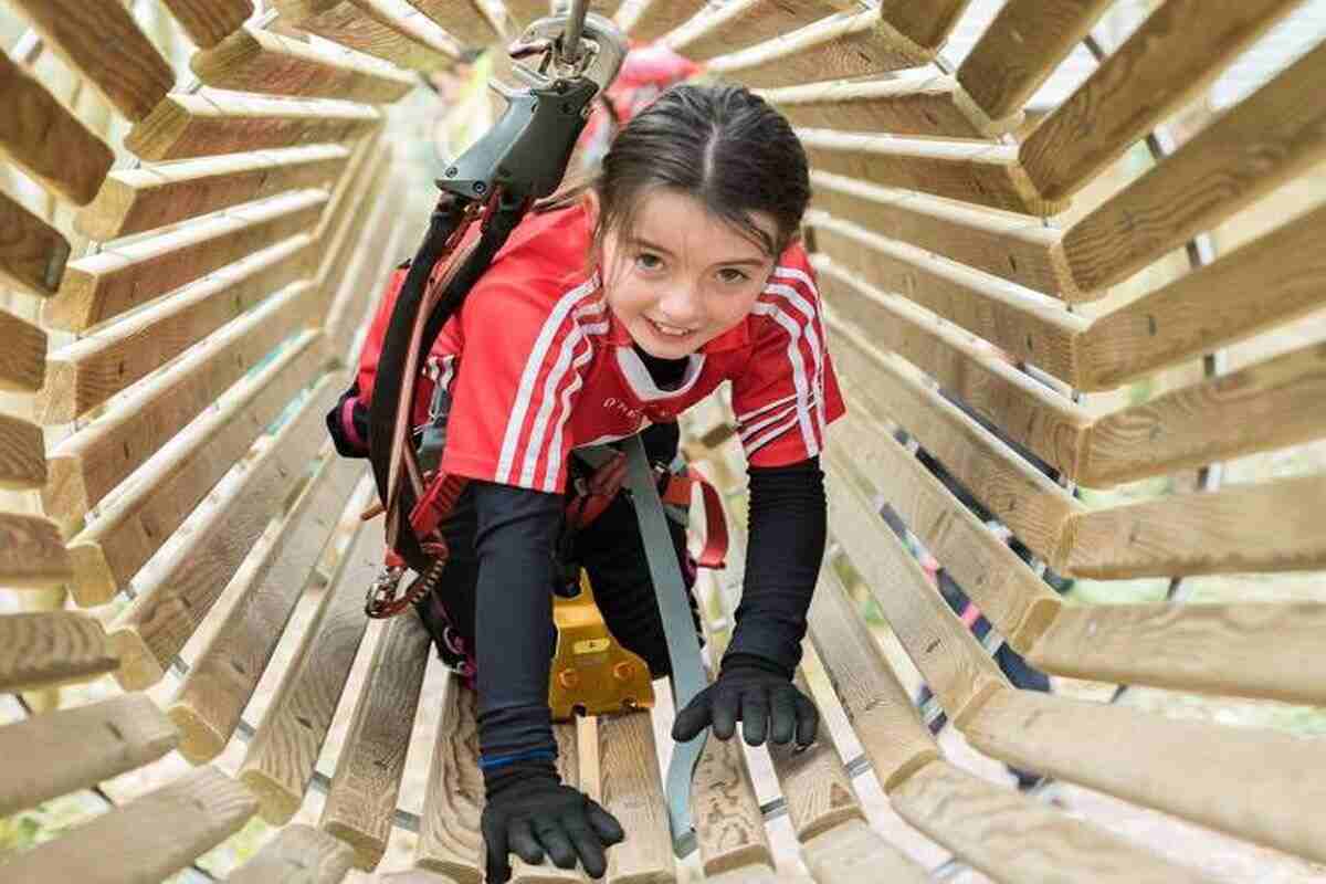 zipit at lough key wooden tunnel