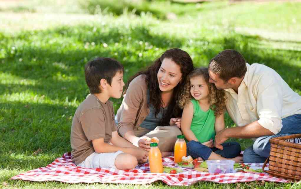 family having a picnic