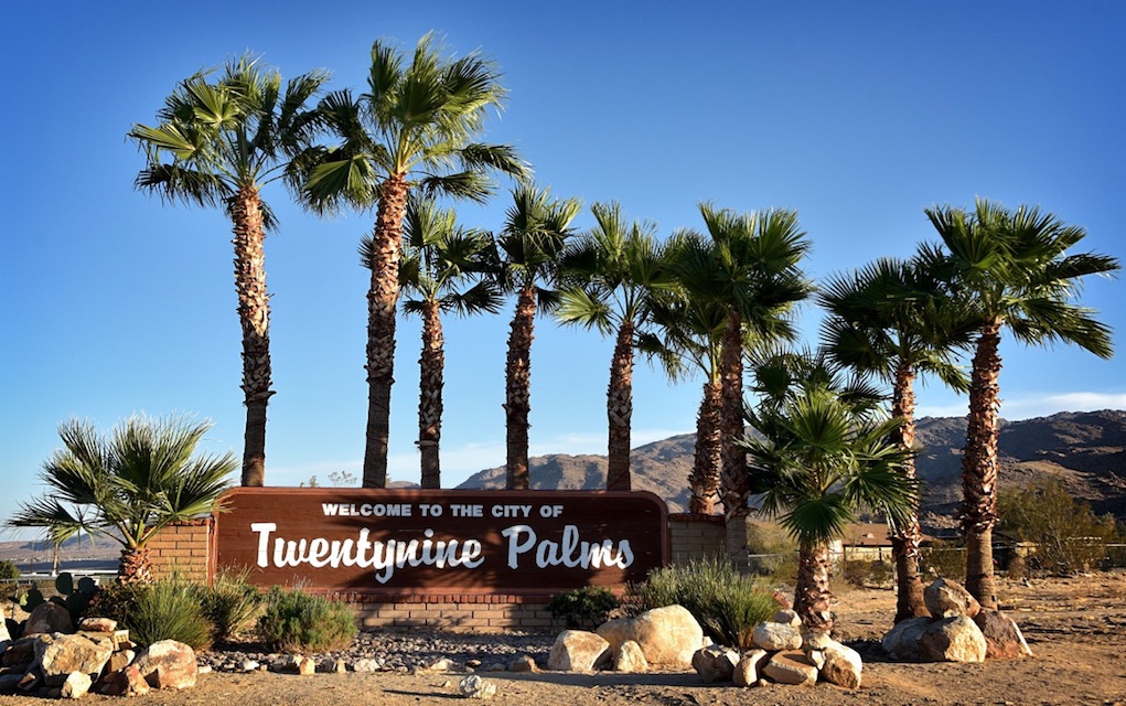 Things to do in Palm Springs with Kids
