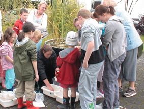 bog of allen nature centre discover centres in Ireland for STEM