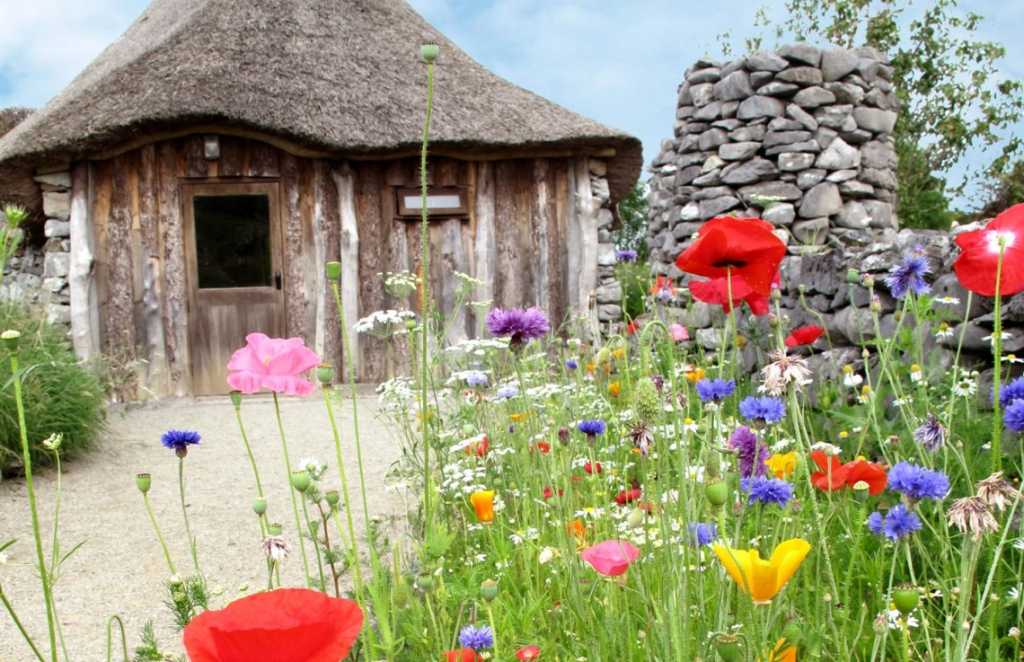 brigits garden discover centres in Ireland for STEM