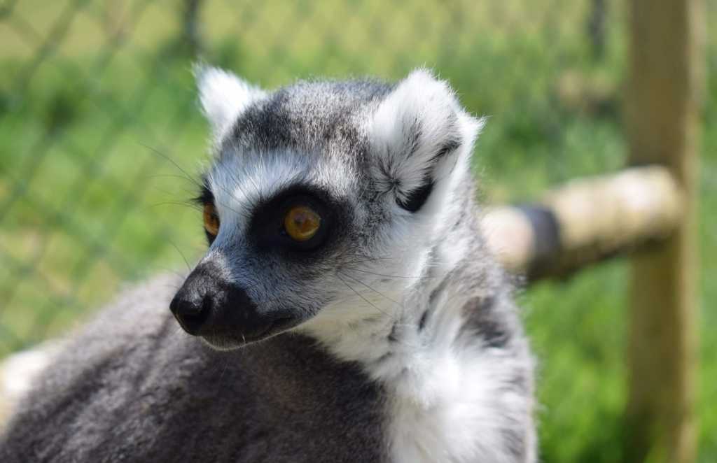 secret valley wexford discover centres in Ireland for STEM