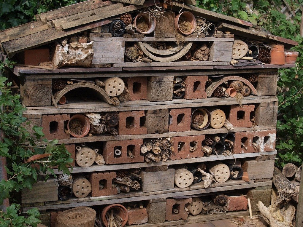 Bug Hotel Eco friendly ways to amuse the kids at home this summer