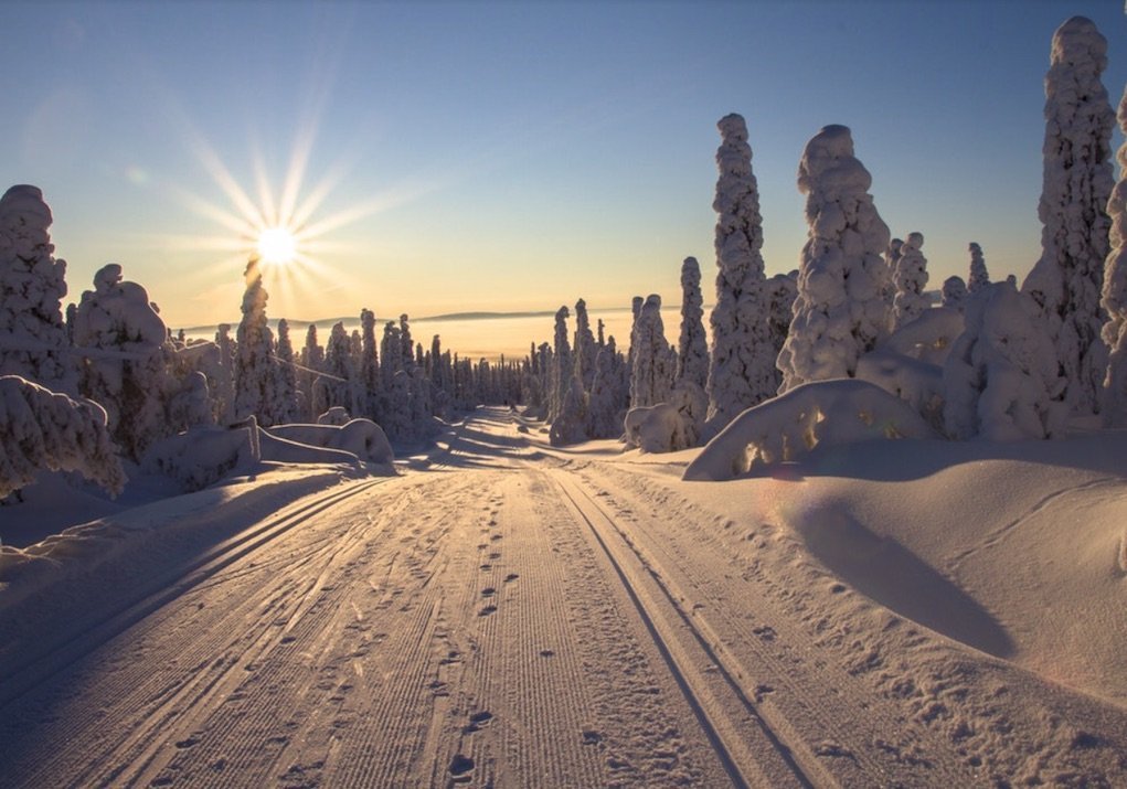 Festive Family Holiday ideas Colorado USA