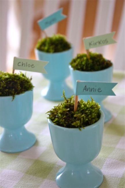 Easter – the farm chicks