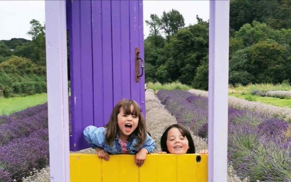 wexford lavender farm