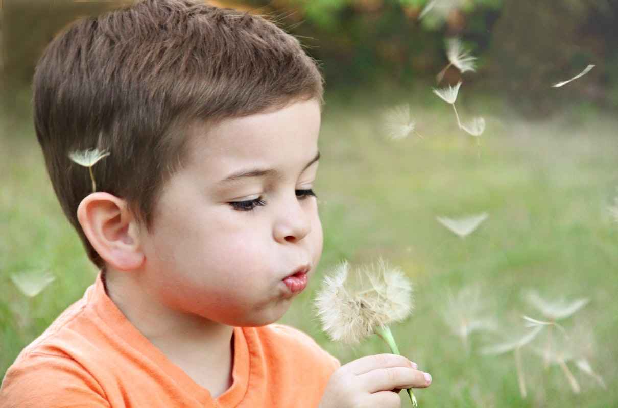 Create a wildlife garden - Mykidstime