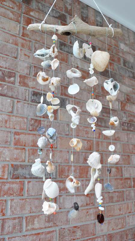 Shell wind chime