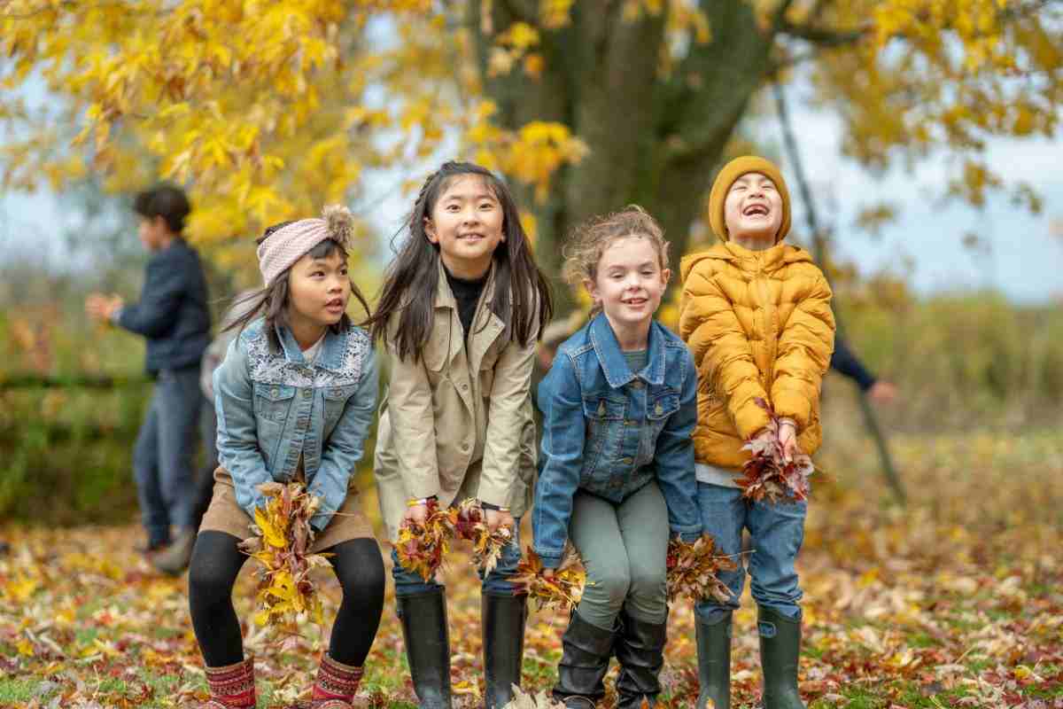 where to see amazing autumn leaves in Ireland