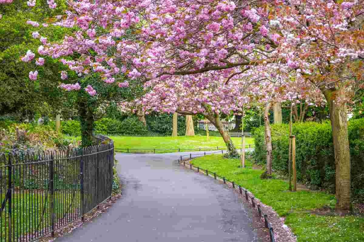 Stephen’s Green Dublin Stephen's Green Dublin for instagram places in Dublin