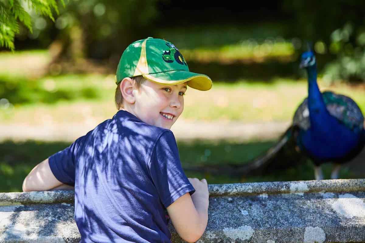 family review of a visit Johnstown Castle