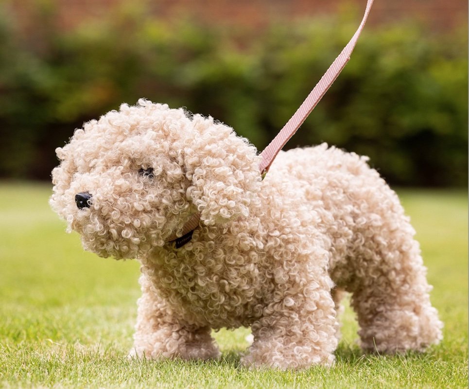 Chester Le Mieux Cockapoo toy puppy Hot toys for Christmas 2023