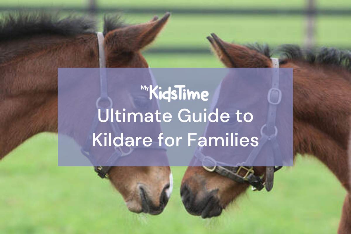 Kildare County Guide County Guide to Kildare for families