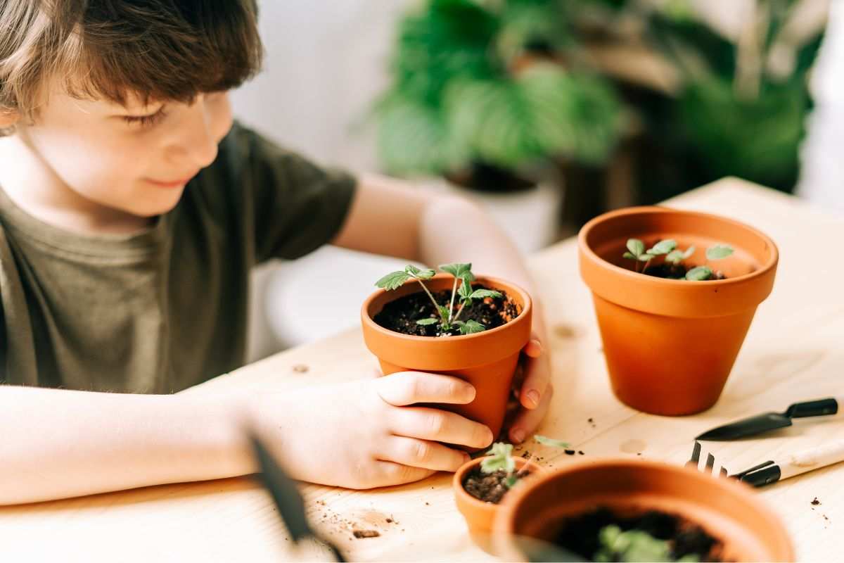 ideas to entertain the kids at home Gardening and planting